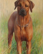 Poněkud netradičně, olejomalba psa. Rozměr 60x40cm Rok vzniku 2014